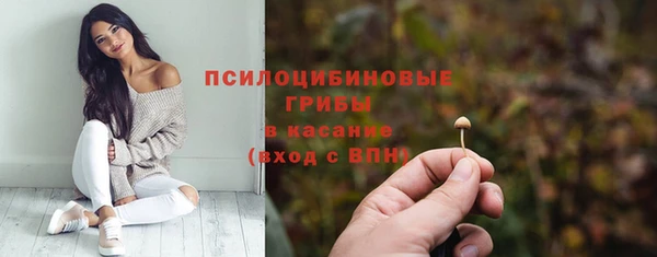 mdpv Пестово