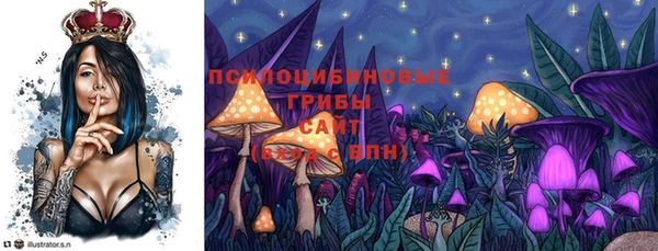 mdpv Пестово