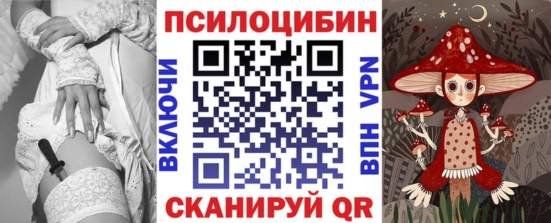 Галлюциногенные грибы Cubensis  хочу   гидра рабочий сайт  Судогда 